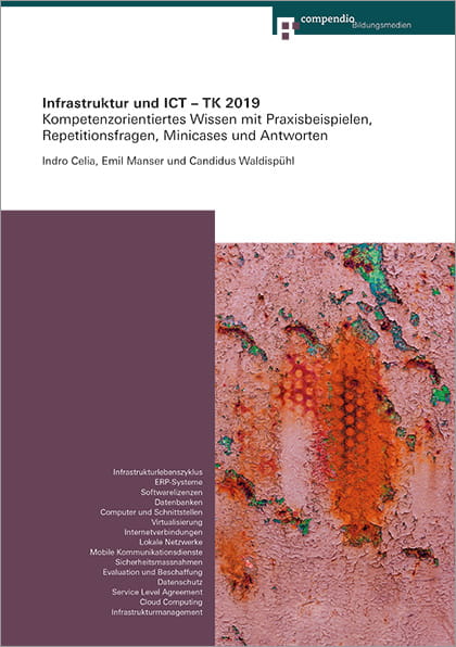 Infrastruktur und ICT - TK 2019 (E-Book)