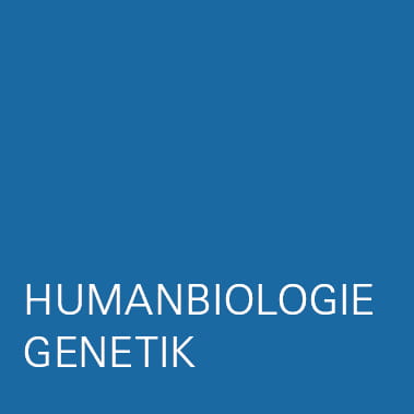 Humanbiologie Genetik